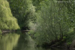 Flulandschaft