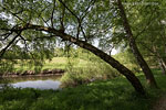 Flulandschaft