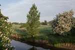 Flulandschaft