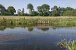 Flulandschaft