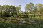 Flulandschaft