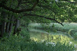 Flulandschaft