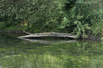 Flulandschaft