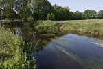 Flulandschaft