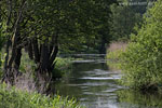 Flulandschaft