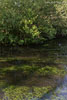 Flulandschaft