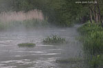 Flulandschaft