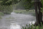 Flulandschaft