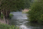 Flulandschaft