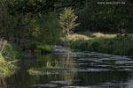 Flulandschaft
