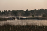 Flulandschaft