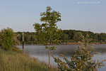 Flulandschaft