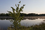 Flulandschaft