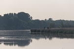 Flulandschaft