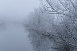 Flulandschaft