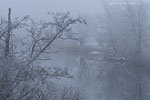 Flulandschaft