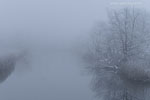 Flulandschaft