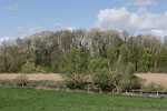 Flulandschaft