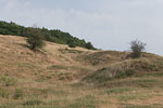 Flulandschaft