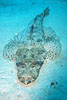 Unterwasserwelt