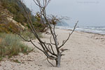 Ostsee-Inseln Norddeutschland