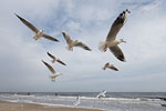 Ostsee-Inseln Norddeutschland