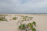 Ostsee-Inseln Norddeutschland