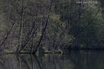 Flulandschaft