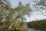 Flulandschaft