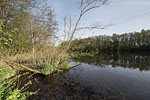 Flulandschaft