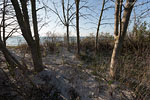 Kstenwald