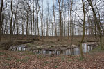 Wald