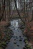 Wald