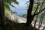 Kstenwald