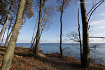 Kstenwald
