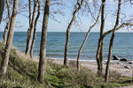 Kstenwald