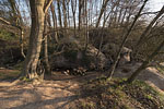 Kstenwald