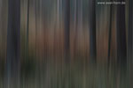 Farben im Wald