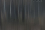 Farben im Wald