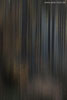 Farben im Wald