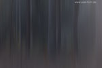Farben im Wald