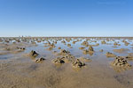 Nationalpark Wattenmeer