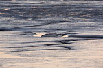 Nationalpark Wattenmeer