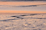 Nationalpark Wattenmeer