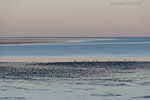 Nationalpark Wattenmeer