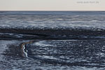 Nationalpark Wattenmeer