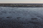 Nationalpark Wattenmeer
