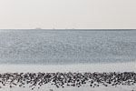Nationalpark Wattenmeer