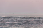 Nationalpark Wattenmeer