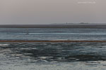 Nationalpark Wattenmeer